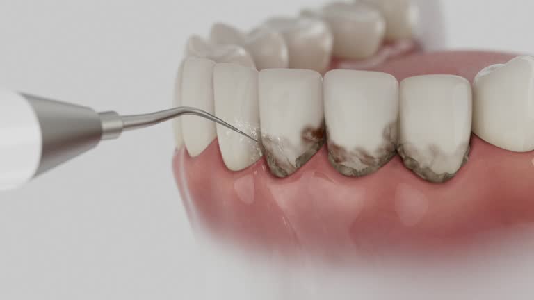 Reliable Dental contractor in Humble, TX by Dentist Open Now